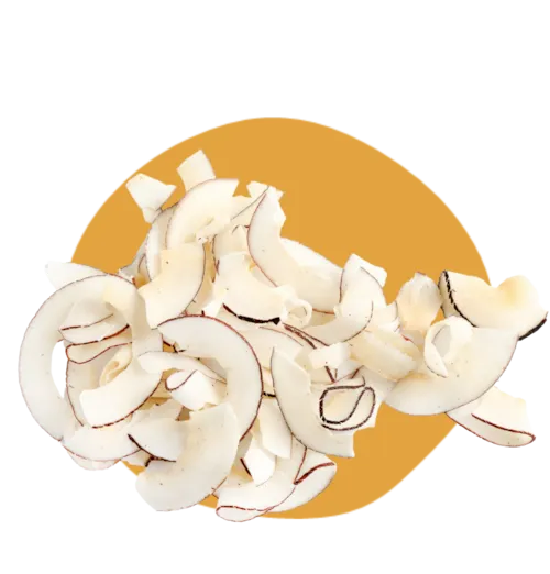 Chips de noix de coco en lamelles